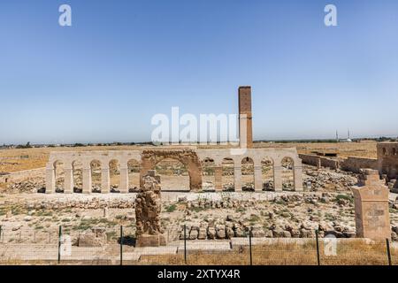 Ruinen von Ulu Cami (die große Moschee) in Harran. Dieses architektonische Denkmal ist die älteste Moschee in Anatolien und wurde im 8. Jahrhundert erbaut. Ruinen von Th Stockfoto