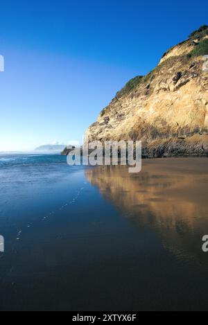 Massive felsige Klippe mit etwas Laub reflektiert auf dem nassen Sand des Strandes unter einem klaren blauen Himmel. Aufgenommen während eines Spaziergangs am Cannon Beach. Stockfoto