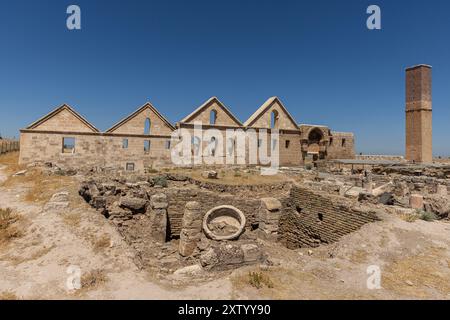 Ruinen von Ulu Cami (die große Moschee) in Harran. Dieses architektonische Denkmal ist die älteste Moschee in Anatolien und wurde im 8. Jahrhundert erbaut. Ruinen von Th Stockfoto