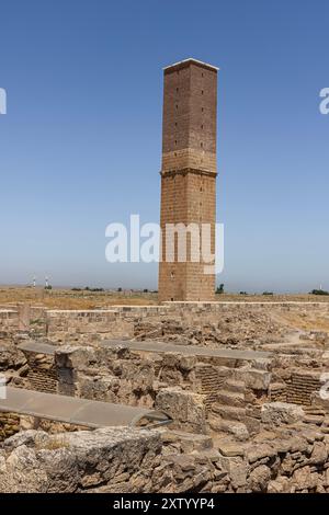 Ruinen von Ulu Cami (die große Moschee) in Harran. Dieses architektonische Denkmal ist die älteste Moschee in Anatolien und wurde im 8. Jahrhundert erbaut. Ruinen von Th Stockfoto