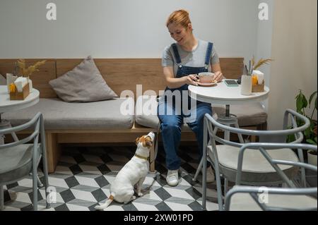 Jack Russell sitzt auf dem Boden in einem Café und wartet in einem hundefreundlichen Café auf den Besitzer. Frau trinkt Kaffee. Stockfoto