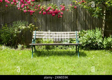 Hübsche Bank in einem englischen Garten, umgeben von Gras, Büschen und Rosen Stockfoto