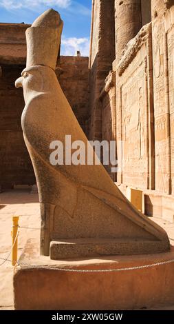 Nahaufnahme der Granitstatue von Horus, dem Falkengott, Sohn von Isis und Osiris und präsidierende Gottheit im Tempel des Horus in Edfu, erbaut während der ptolemäischen Ära zwischen 237 und 57 v. Chr. in der Nähe von Assuan, Ägypten Stockfoto