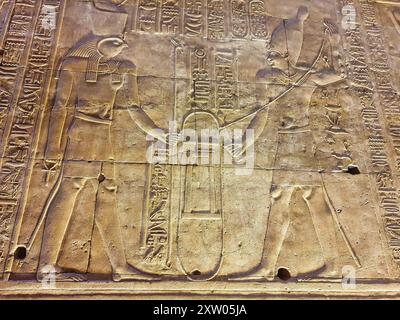Das Mauerrelief des Pharoah Ptolemäus, der Horus im Tempel des Horus in Edfu opferte, der während der ptolemäischen Ära zwischen 237 und 57 v. Chr. in der Nähe von Assuan in Ägypten errichtet wurde Stockfoto