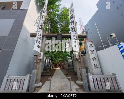 Eintritt für Hanazono Jinja. Der Hanazono Jinja-Schrein ist ein schintoistischer Schrein in der Stadt Shinjuku, Tokio, Japan. Dieser Schrein wurde im 17. Jahrhundert erbaut. Stockfoto