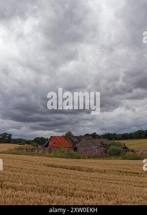 Ein verlassenes Steinbauernhaus mit dazugehörigen Scheunen in einer kleinen Höhle inmitten der Bauernfelder von Greenden unter dunklen Regenwolken. Stockfoto