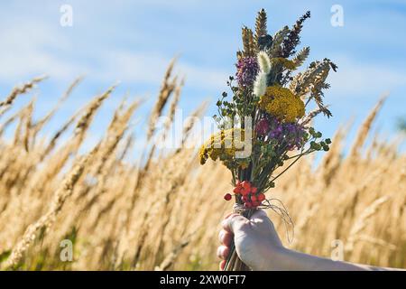 Marientag Himmelfahrt. Sommerstrauß Mit Wildblumen Stockfoto