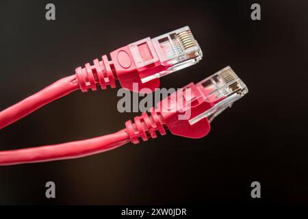 Detaillierte Nahaufnahme zweier verbundener leuchtender roter Ethernet-Kabel, die moderne Kommunikationstechnologie symbolisieren. Ideal für die Darstellung von Konnektivität, Netzwerk Stockfoto