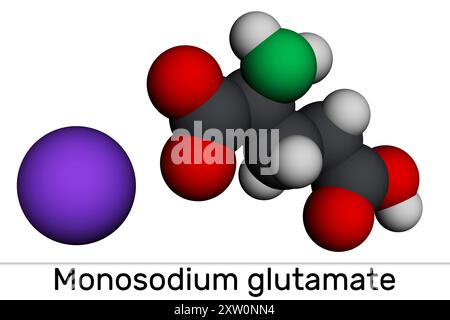 Mononatriumglutamat, MSG, Natriumglutamatmolekül. Es handelt sich um Geschmacksverstärker E621. Molekulares Modell. 3D-Rendering. Abbildung Stockfoto