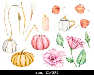 Herbst-Set mit Aquarellen. Kürbisse in Pastellfarben. Rosafarbene Blumen und Blätter. Weißer Becher in Kürbisform. Weizenohr mit trockenen Blättern. Physalis-Knospen, Wachs Stockfoto