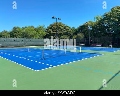 Vier tragbare Pickleball-Netze, die auf zwei blauen und grünen Tennisplätzen platziert werden, machen vier Pickleball-Plätze an einem perfekten Tag mit blauem Himmel darüber. Stockfoto