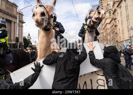 Melbourne, Australien. August 2024. Berittene Polizeibeamte beschießen Demonstranten, während sie sich während der Demonstration darum bemühen, ihre Schilder aufrecht zu erhalten. Trans-Rechts-Aktivisten stoßen mit der Polizei zusammen, als sie eine Anti-Trans-Gruppe im Parlamentsgebäude in melbourne bekämpfen, Festnahmen durchgeführt wurden, alberne Schnur und Wasserblasen wurden von den Gegenprotestierenden auf Polizeibeamte verwendet. Quelle: SOPA Images Limited/Alamy Live News Stockfoto