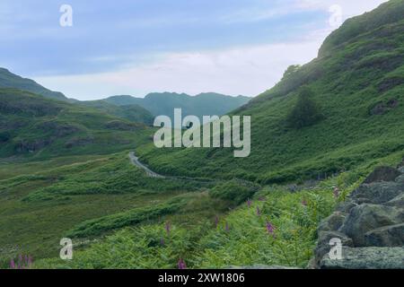 Einsamer Baum auf einer Straße im Lake District mit Bergen hinter Grasmere Stockfoto