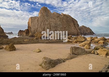 Urro am Strand von Arnia, Costa Quebrada, Kantabrien, Spanien. Stockfoto