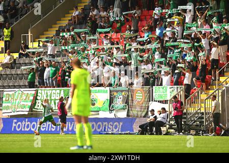 Vallingby, Schweden, 17. August 2024: Hammarby IF FF Fans während des Spiels in der schwedischen Liga OBOS Damallsvenskan am 17. August 2024 zwischen Hammarby IF und Linkoping FC bei Grimsta IP in Vallingby (Stockholm), Schweden (Peter Sonander/SPP) Credit: SPP Sport Press Photo. /Alamy Live News Stockfoto