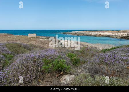 Ostuni, Costa Merlata, wo Sie zahlreiche Buchten und Strände mit kristallklarem Meer entdecken können. Stockfoto