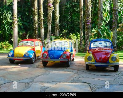 BRUMADINHO, BRASILIEN - 4. Mai 2024: Farbige Autos von Troca-Troca von Jarbas Lopes im Inhotim Public Contemporary Art Museum - Brumadinho, Minas Gerais, br Stockfoto