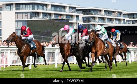 Newbury, Berkshire, Tiber Flow und Jockey Tom Marquand gewinnen 2024 die Gruppe 2 BetVictor Hungerford Stakes für Trainer William Haggas und die Besitzer Jon und Julia Aisbitt. Credit JTW equine Images / Alamy Live News. Stockfoto