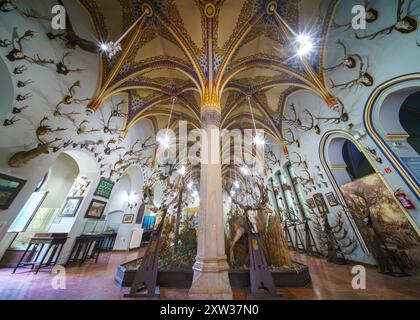 07.13.24. Budapest, Ungarn. Das Innere der Burg Vajdahunyad in Budapest. In einem der Hallen befindet sich eine Ausstellung des Museums von Agricultu Stockfoto