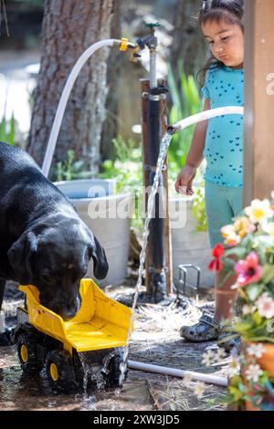 Ein Mädchen spielt dabei, einem großen Hund Wasser aus einem Schlauch zu geben, indem er einen Spielzeugwagen als Wasserschüssel benutzt. Stockfoto