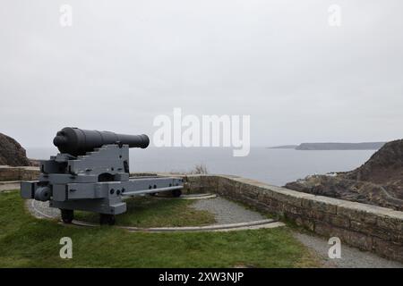 Kanone auf die Batterie auf dem Signal Hill mit Blick auf den Eingang zum Hafen von St. John's, Neufundland Stockfoto