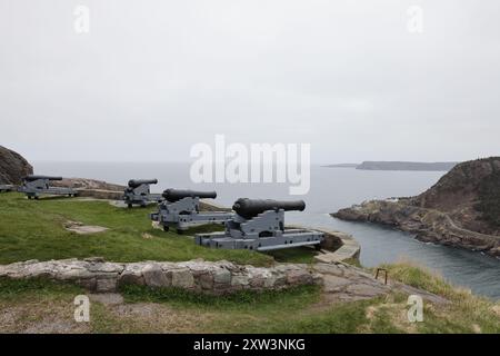 Kanone auf die Batterie auf dem Signal Hill mit Blick auf den Eingang zum Hafen von St. John's, Neufundland Stockfoto