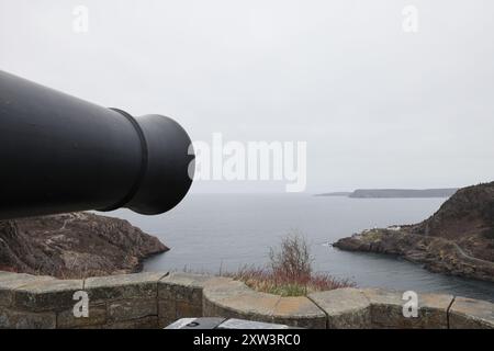 Kanone auf die Batterie auf dem Signal Hill mit Blick auf den Eingang zum Hafen von St. John's, Neufundland Stockfoto