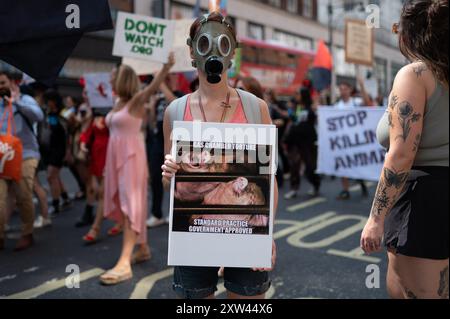 London, Großbritannien. August 2024. Der Demonstrant trägt eine Gasmaske und hält ein Plakat gegen Tierquälerei während der Kundgebung. Tierschutzaktivisten marschierten in London, um ein Ende der Ausbeutung von Tieren und Tierversuchen zu fordern. Quelle: SOPA Images Limited/Alamy Live News Stockfoto