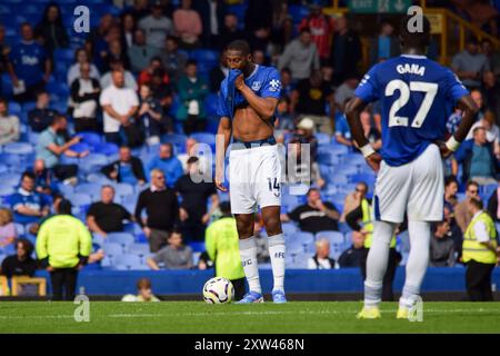 Liverpool, Großbritannien. August 2024. Everton Stürmer Beto (14) reagierte beim Spiel Everton FC gegen Brighton & Hove Albion FC English Premier League im Goodison Park, Liverpool, England, Großbritannien am 17. August 2024 Credit: Every Second Media/Alamy Live News Stockfoto