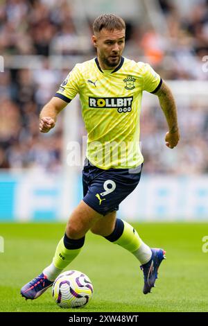 Newcastle, Großbritannien. August 2024. Newcastle, England, 17. August 2024: Adam Armstrong aus Southampton spielt mit dem Ball während des 1. Premier League Matchweek-Spiels zwischen Newcastle United und Southampton FC am 17. August 2024 in Newcastle, England. (Foto: Richard Callis/SPP) (Richard Callis/SPP) Credit: SPP Sport Press Photo. /Alamy Live News Stockfoto