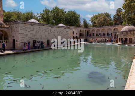 Sanliurfa, Türkei 4. August 2024; Balikligol (der Fischsee auf Englisch) in Sanliurfa, Türkei. Der historische Pool of Abraham oder Pool of Sacred Fish in Stockfoto