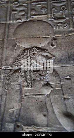 Sekhmet, die Löwengöttin, Nahaufnahme Wandrelief im sanften Bokeh-Fokus im Tempel der Isis auf Philae Island am Nasser-See, erbaut von Nectanebo und Ptolemäus Pharoahs in der Nähe von Assuan, Ägypten Stockfoto