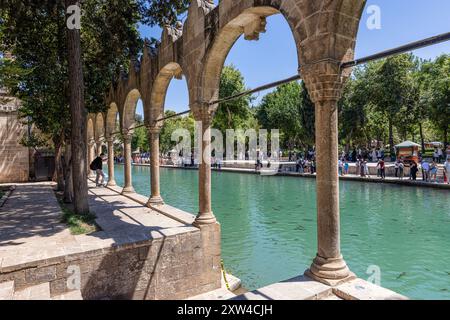 Sanliurfa, Türkei 4. August 2024; Balikligol (der Fischsee auf Englisch) in Sanliurfa, Türkei. Der historische Pool of Abraham oder Pool of Sacred Fish in Stockfoto