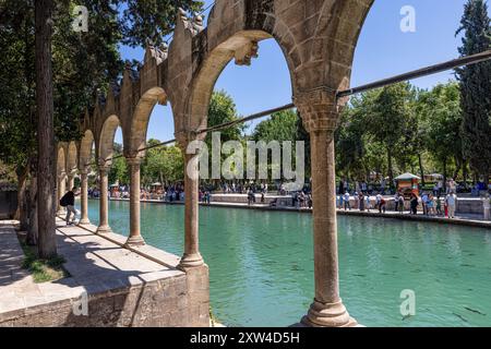 Sanliurfa, Türkei 4. August 2024; Balikligol (der Fischsee auf Englisch) in Sanliurfa, Türkei. Der historische Pool of Abraham oder Pool of Sacred Fish in Stockfoto