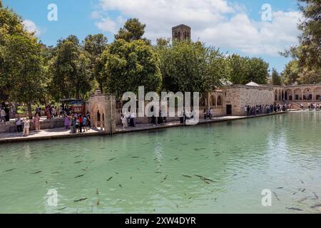 Sanliurfa, Türkei 4. August 2024; Balikligol (der Fischsee auf Englisch) in Sanliurfa, Türkei. Der historische Pool of Abraham oder Pool of Sacred Fish in Stockfoto