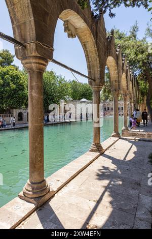 Sanliurfa, Türkei 4. August 2024; Balikligol (der Fischsee auf Englisch) in Sanliurfa, Türkei. Der historische Pool of Abraham oder Pool of Sacred Fish in Stockfoto