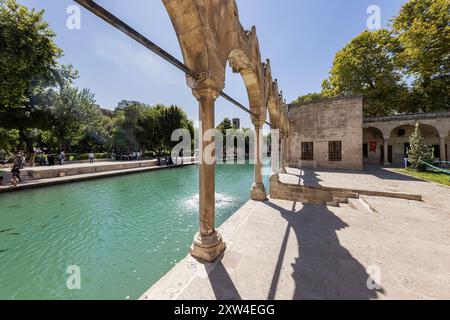 Sanliurfa, Türkei 4. August 2024; Balikligol (der Fischsee auf Englisch) in Sanliurfa, Türkei. Der historische Pool of Abraham oder Pool of Sacred Fish in Stockfoto