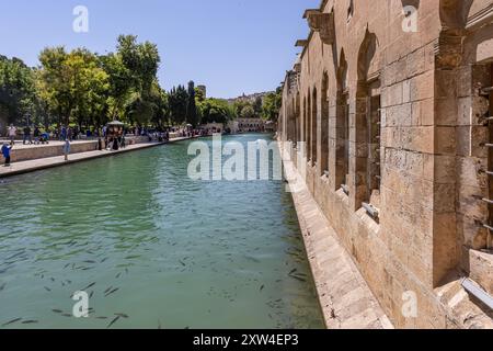 Sanliurfa, Türkei 4. August 2024; Balikligol (der Fischsee auf Englisch) in Sanliurfa, Türkei. Der historische Pool of Abraham oder Pool of Sacred Fish in Stockfoto