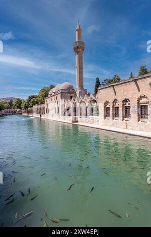 Sanliurfa, Türkei 4. August 2024; Balikligol (der Fischsee auf Englisch) in Sanliurfa, Türkei. Der historische Pool of Abraham oder Pool of Sacred Fish in Stockfoto