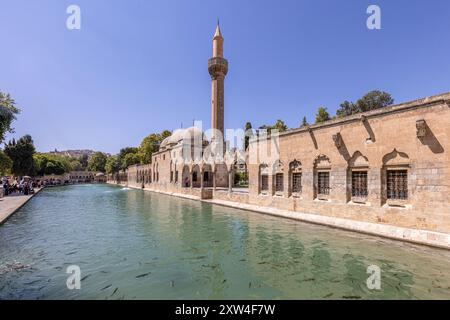Sanliurfa, Türkei 4. August 2024; Balikligol (der Fischsee auf Englisch) in Sanliurfa, Türkei. Der historische Pool of Abraham oder Pool of Sacred Fish in Stockfoto