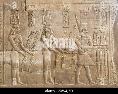 Mauerreliefs von Kleopatra III., Kleopatra II. Und Ptolemaios VIII. Euergetes II. Opferten im Tempel von Sobek und Haroeris, der im 2. Jahrhundert v. Chr. von Ptolemaios Pharoahs in KOM Ombo in der Nähe von Assuan, Ägypten erbaut wurde Stockfoto