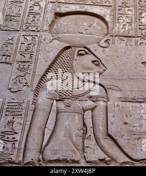 Versunkenes Mauerrelief der Göttin Sekhmet auf den äußeren Säulen mit Bokeh-Fokus am Tempel von Sobek und Haroeris, erbaut im 2. Jahrhundert v. Chr. von Ptolemaios Pharoahs in KOM Ombo, in der Nähe von Assuan, Ägypten Stockfoto