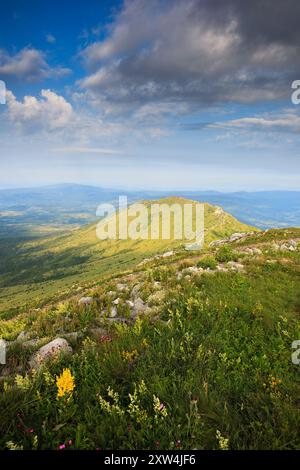 Ein atemberaubendes Luftbild vom Berg Šiljak mit lebendigen Wildblumen und weitläufigen Aussichten. Šiljak, Rtanj, Serbien Stockfoto