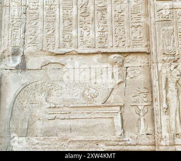 Wandrelief eines heiligen nilkrokodils, gewidmet der Göttin mit Krokodilkopf Sobek am Tempel von Sobek und Haroeris, erbaut im 2. Jahrhundert v. Chr. von Ptolemaios Pharoahs in KOM Ombo, nahe Assuan, Ägypten Stockfoto