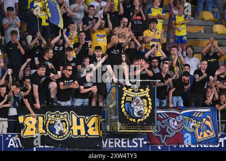 Sint Truiden, Belgien. August 2024. Die STVV-Fans wurden während eines Fußballspiels zwischen Sint-Truidense VV und FCV Dender EH am Samstag, den 17. August 2024 in Sint-Truiden, am vierten Tag der Saison 2024-2025 der ersten Liga der „Jupiler Pro League“ der belgischen Meisterschaft, vorgestellt. BELGA FOTO JOHAN EYCKENS Credit: Belga News Agency/Alamy Live News Stockfoto