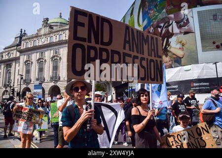 London, Großbritannien. August 2024. Tierschützer passieren den Piccadilly Circus während des National Animal Rights March im Zentrum Londons. Der jährliche Protest hebt das Leiden und den Tod von Milliarden von Tieren in allen Bereichen menschlichen Handelns hervor, kämpft für die Tierbefreiung und für ein Ende der Tierausbeutung und fördert Veganismus und einen grausamen Lebensstil. Quelle: Vuk Valcic/Alamy Live News Stockfoto