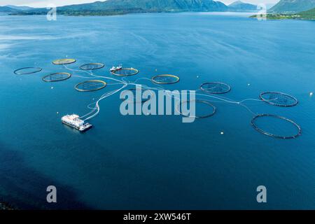 Schwimmende Käfige einer Lachszucht im Voldafjord nördlich von Lauvstad, Moere og Romsdal, Norwegen. Stockfoto