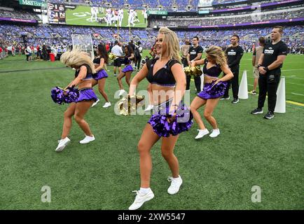 Baltimore, Usa. August 2024. Die Cheerleader der Baltimore Ravens treten am Samstag, den 17. August 2024, im M&T Bank Stadium in Baltimore, Maryland, gegen die Atlanta Falcons auf. Foto: David Tulis/UPI Credit: UPI/Alamy Live News Stockfoto