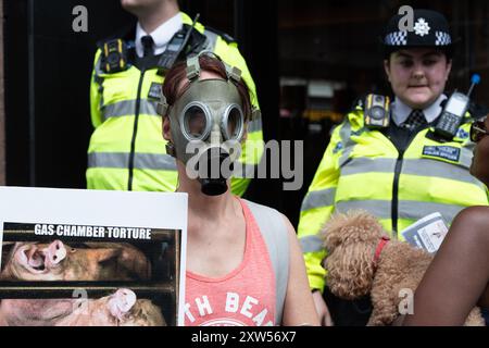 London, Großbritannien. August 2024. Eine Frau steht vor einem Angus Steakhouse, trägt eine Gasmaske und hält ein Plakat, das Schweine in einer „Gaskammer“ zeigt, während die Tierrechtsaktivisten der Basis den jährlichen National Animal Rights march vom Marble Arch zum Parliament Square veranstalten. Förderung des Tierschutzes, Bekämpfung der Ausbeutung von Tieren und Grausamkeit aus ethischen und ökologischen Gründen forderten die Demonstranten ein pflanzliches Lebensmittelsystem. Quelle: Ron Fassbender/Alamy Live News Stockfoto