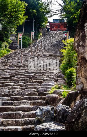 Steintreppen hinauf zur Isaniwa Jinja, einem schintoistischen Schrein im Stadtzentrum von Matsuyama, Region Shikoku, Japan Stockfoto